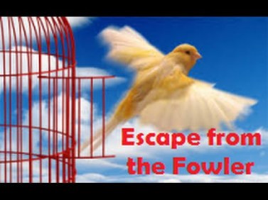 escape from the fowler
