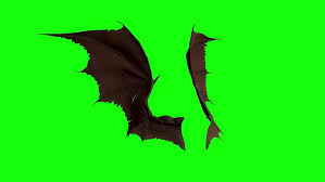 bats